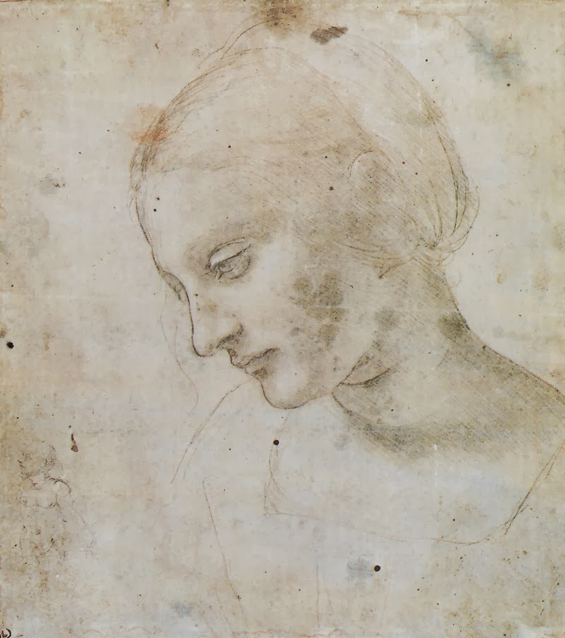 Leonardo+da+Vinci-1452-1519 (320).jpg